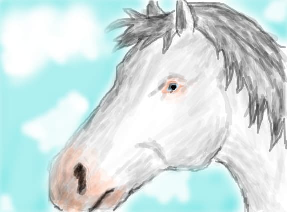 horse