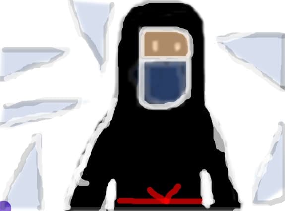 ninja