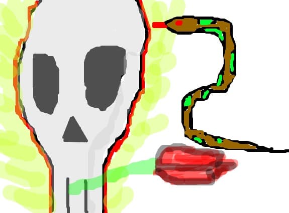 craniu