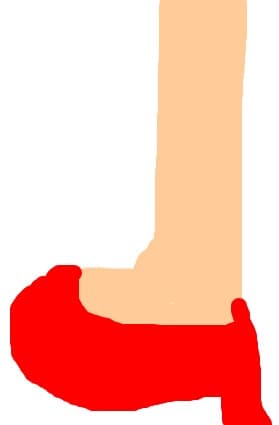 cameliadani