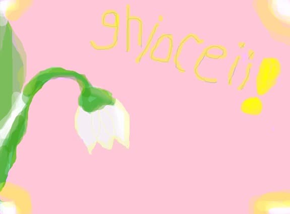 ghioceii