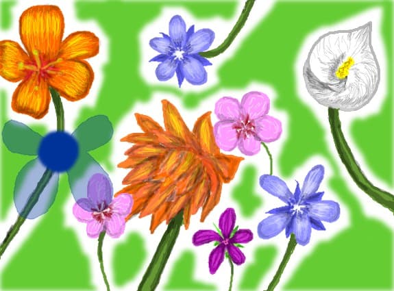 flori