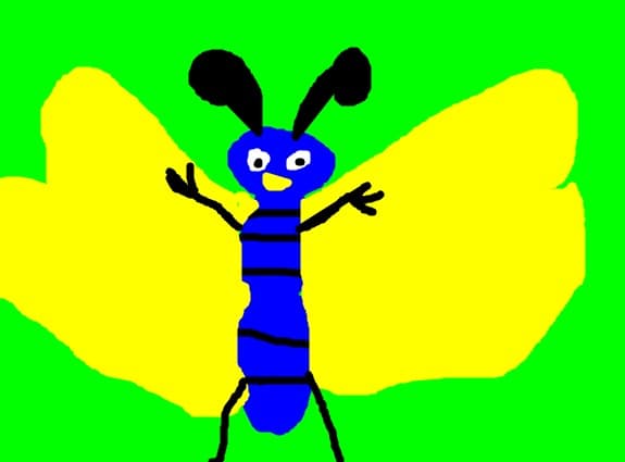 fly
