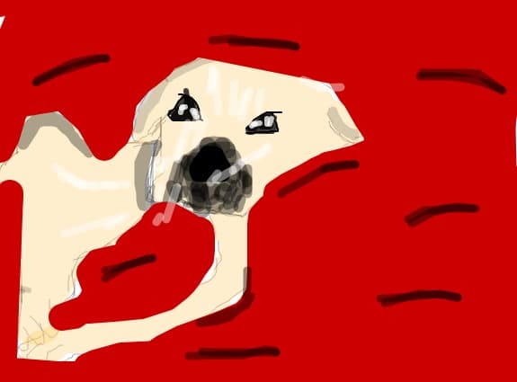 a dog is love