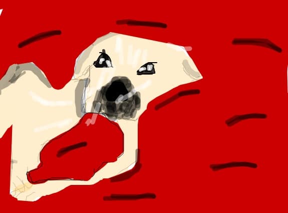 umpic modificat