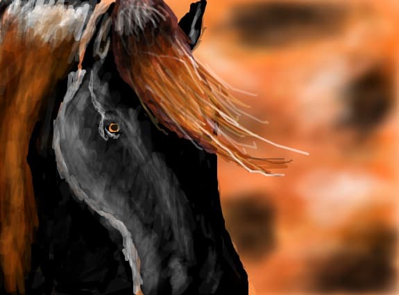 black horse