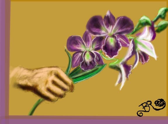 Orchids