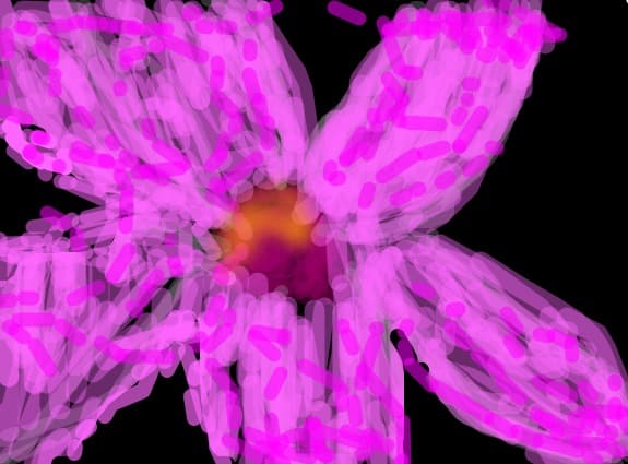 o floare