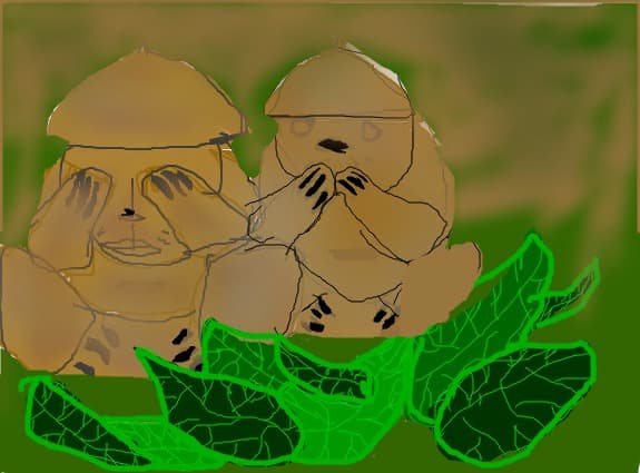 BOBERK