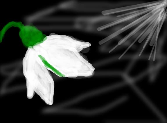 naspha