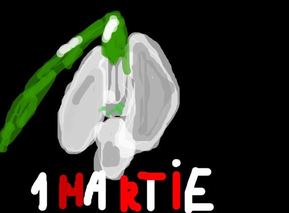 1martie