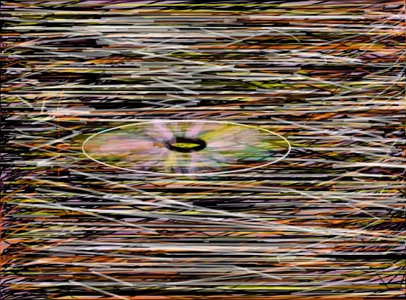 CD