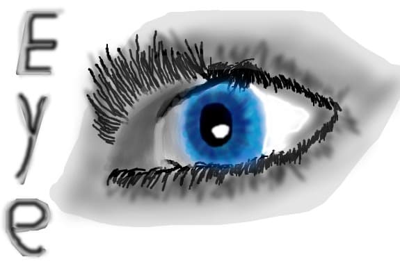 eye