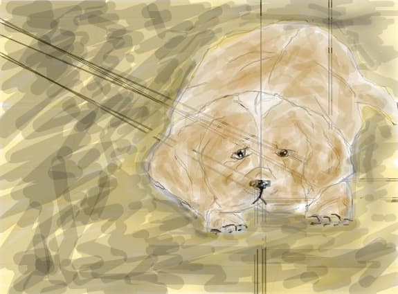 Desen 74674 continuat:catelus