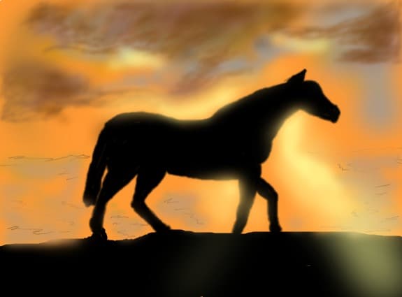 sunset