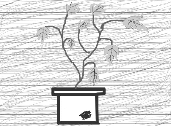 sad plant