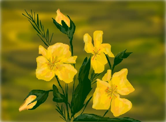 flori