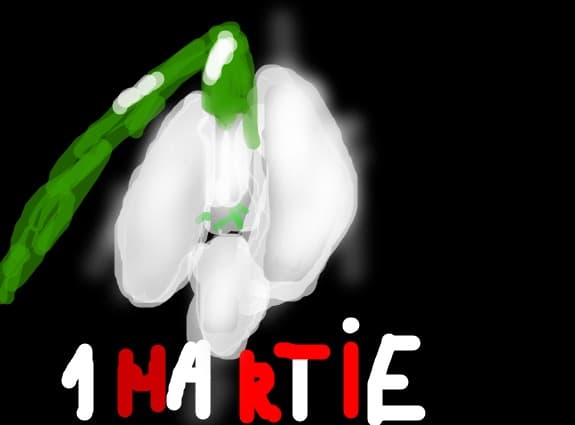 1martie