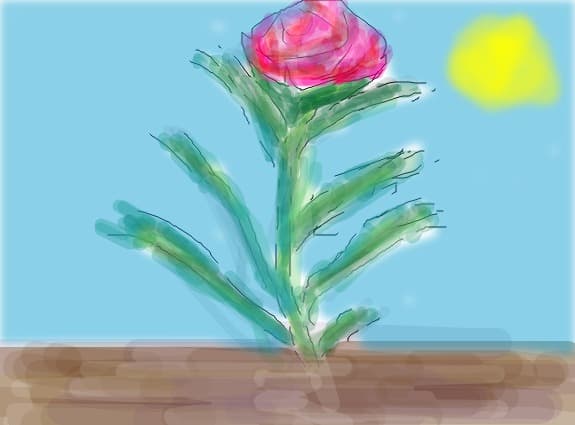 floricica
