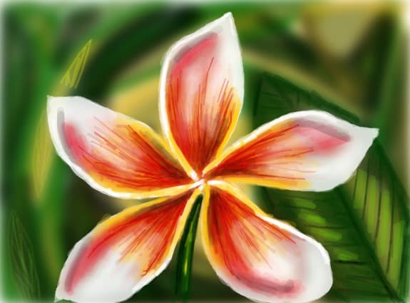 flower