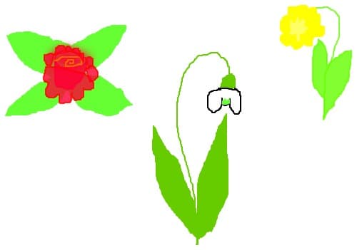 flori