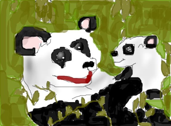 Panda