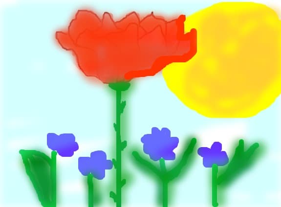 flori