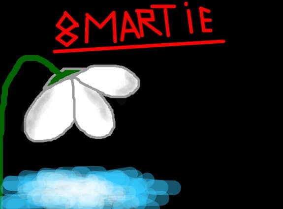 8 martie plzz vota-til poate ajunge in top amatori plzz