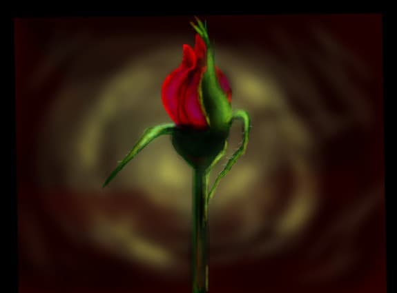 rose