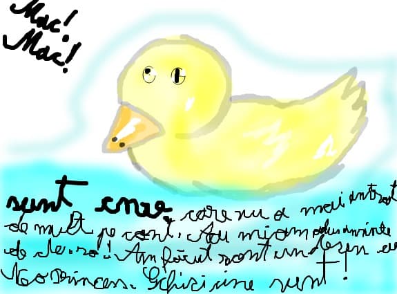 mac mac ghici cine sunt