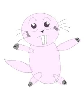 rufus