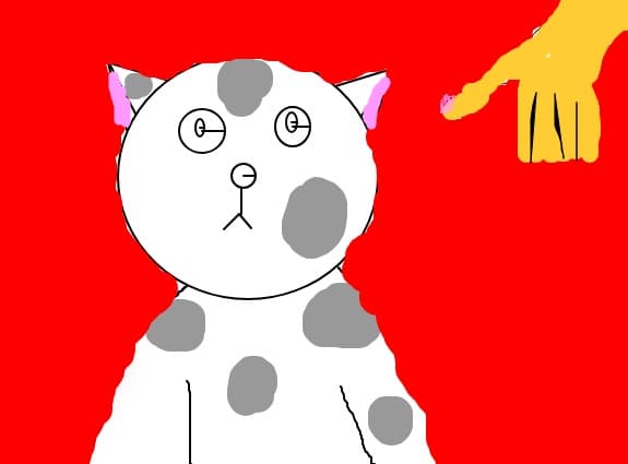 miau-miau