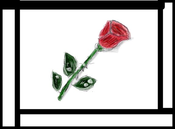 trandafir...rose