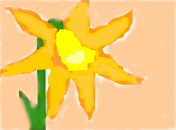 Nice flower