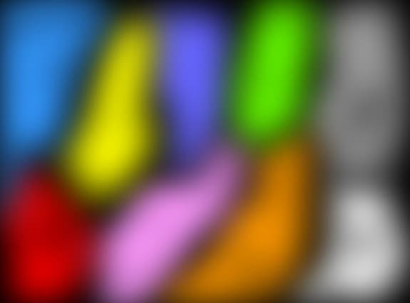 stelute viu colorate