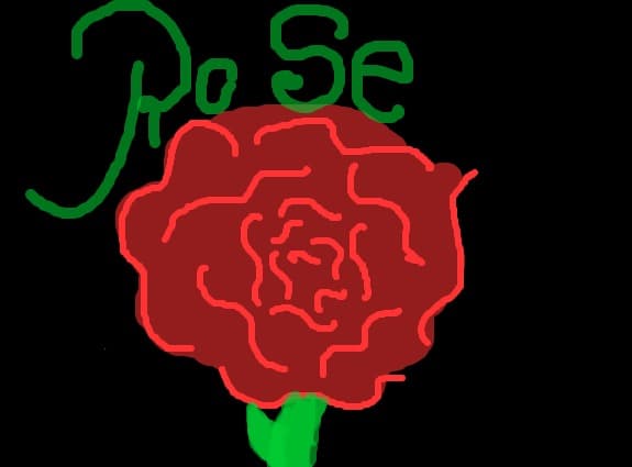 rose