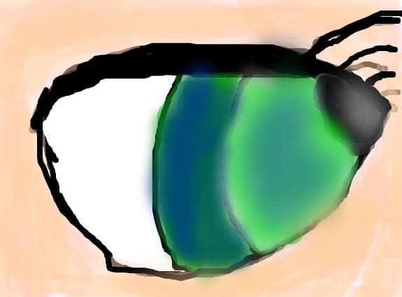 Anime eye
