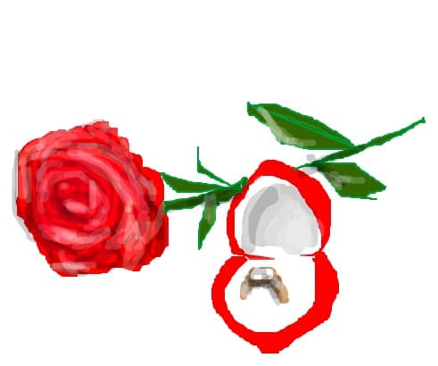 RED ROSE