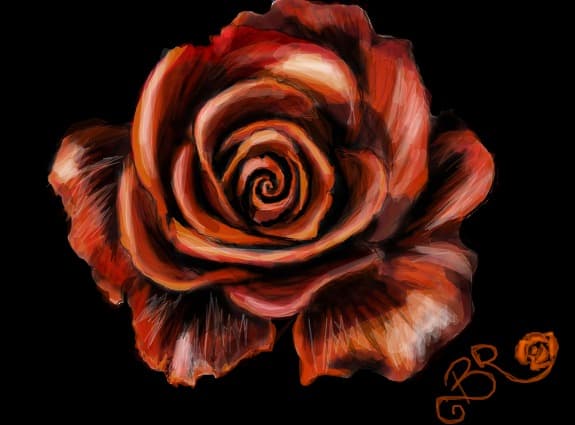 The last rose