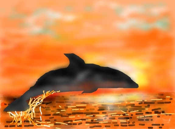 delfin...