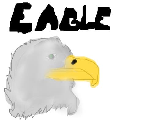 eagle