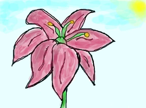 o floare