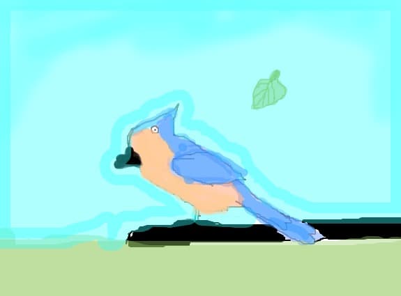 bird