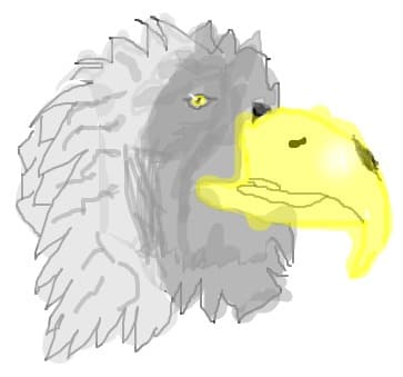 eagle