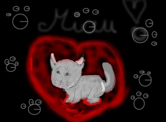 miau