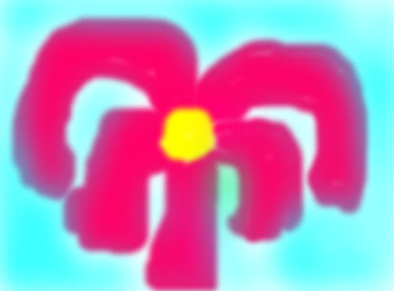 o floare