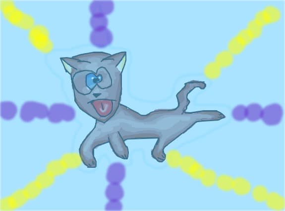 crazy cat