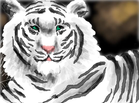 white tiger