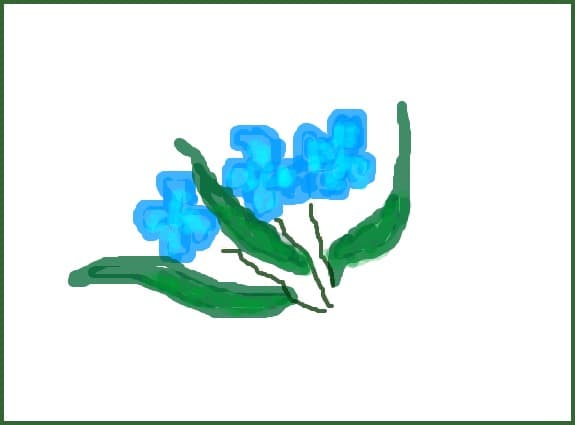 some flowers for you