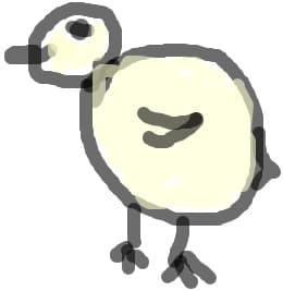 pui de gaina